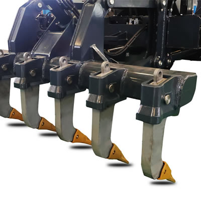 أسنان الممزق