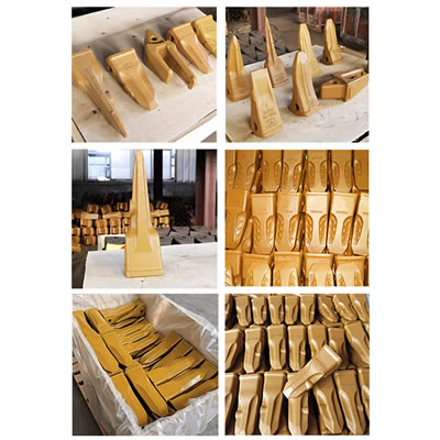 أسنان الغرافة (البوكت) مع المثبتات